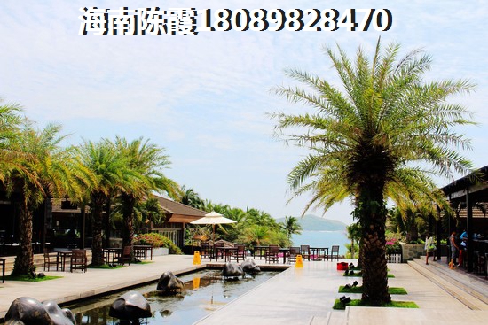 亲子研学主题名字