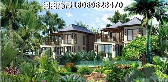 大学生穷游旅行社取名