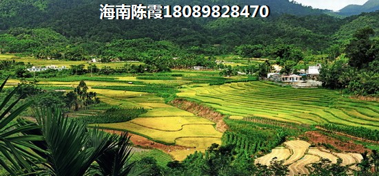 宜昌市有哪些传统特色美食（宜昌市的特色美食有哪些?）