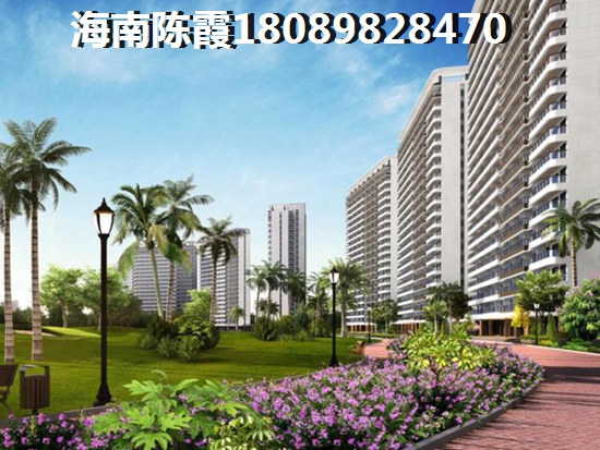 陵水2025还有什么生纸前景