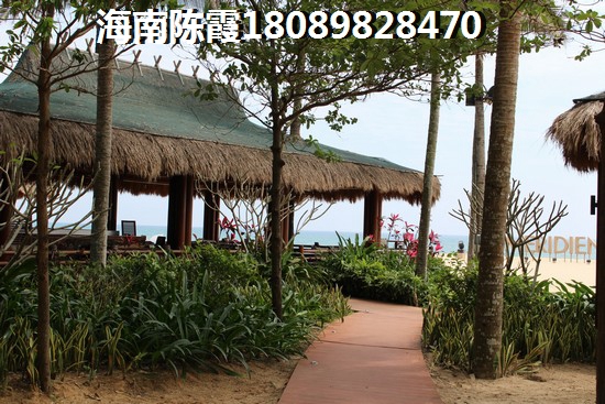 幼教十大职业素养是什么呢