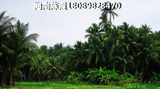头发增长液加盟什么店比较好