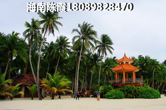 科主任个人总结