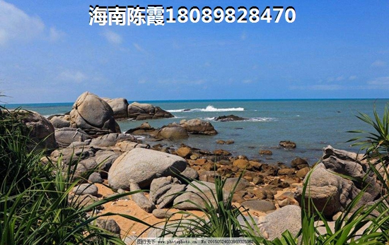 无骨鸡爪销量怎么样